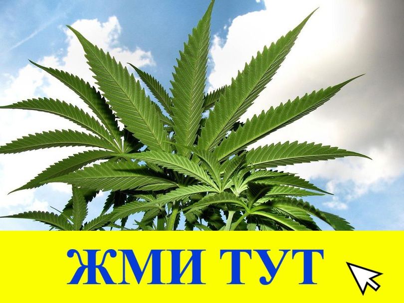 Купить наркотики в Туймазы